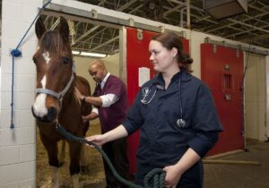 Read more about the article 7 Benefits of Equine Psychotherapy for Teens